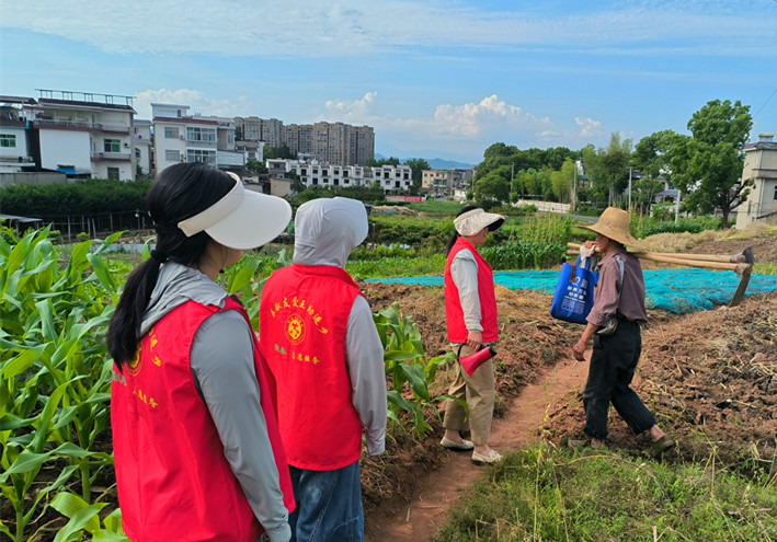 皖徽州區(qū)：多點發(fā)力築牢秸稈禁燒「防火牆」