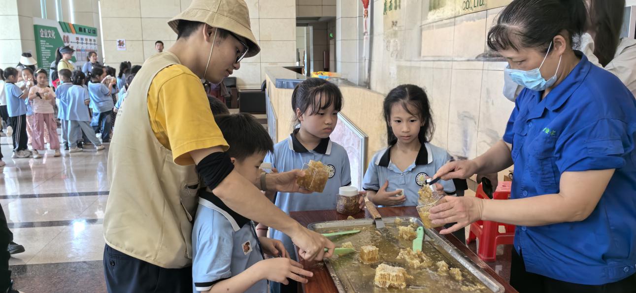 桂字號(hào)品牌賦能甜蜜事業(yè)  梧州蜂蜜甜蜜出圈
