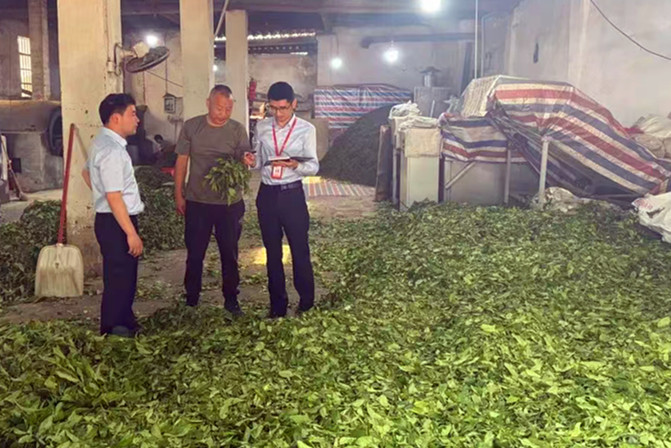 「手機(jī)一點(diǎn)，貸款就到賬」  皖休寧「興農(nóng)e貸」助「茶箬生金」