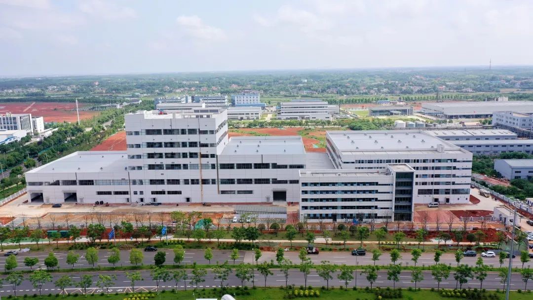 雙肩扛鼎強國志 「雙創(chuàng)」潮頭競先鋒——致敬望城青年科技工作者