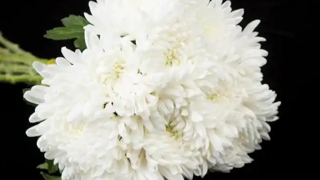 中央軍委原副主席許其亮同志逝世