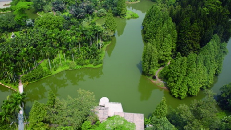 首批美麗廣東生態(tài)文旅線路發(fā)布