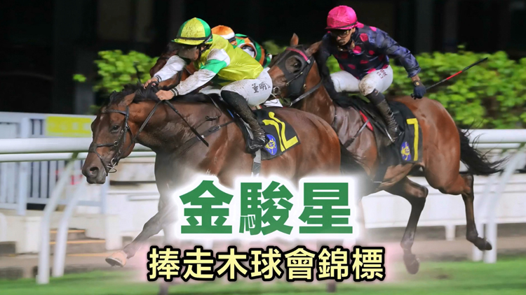 有片 | 閘前票數(shù)排山倒海 金駿星捧走木球會(huì)錦標(biāo)