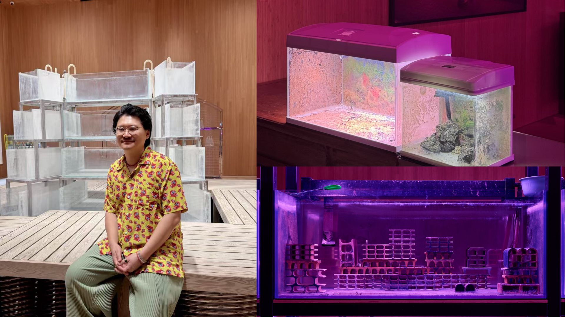【一周港藝】從威尼斯到香港M+博物館新展楊沛鏗別離庭 【一周港藝】從威尼斯到香港M+博物館新展楊沛鏗別離庭