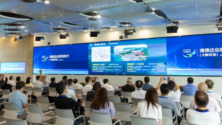 港澳企業(yè)家大鵬尋商機 「超級聯(lián)絡人」激活灣區(qū)新動能
