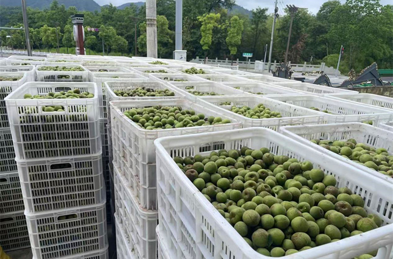 皖黟縣西遞鎮(zhèn)：農(nóng)文旅融合的「源川探索」