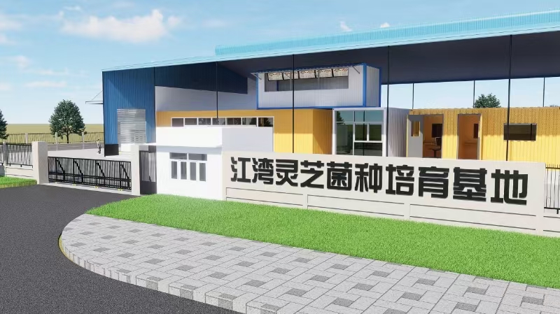 粵北武江區(qū)江灣鎮(zhèn)：探索林下經(jīng)濟(jì)密碼 開啟「致富之傘」