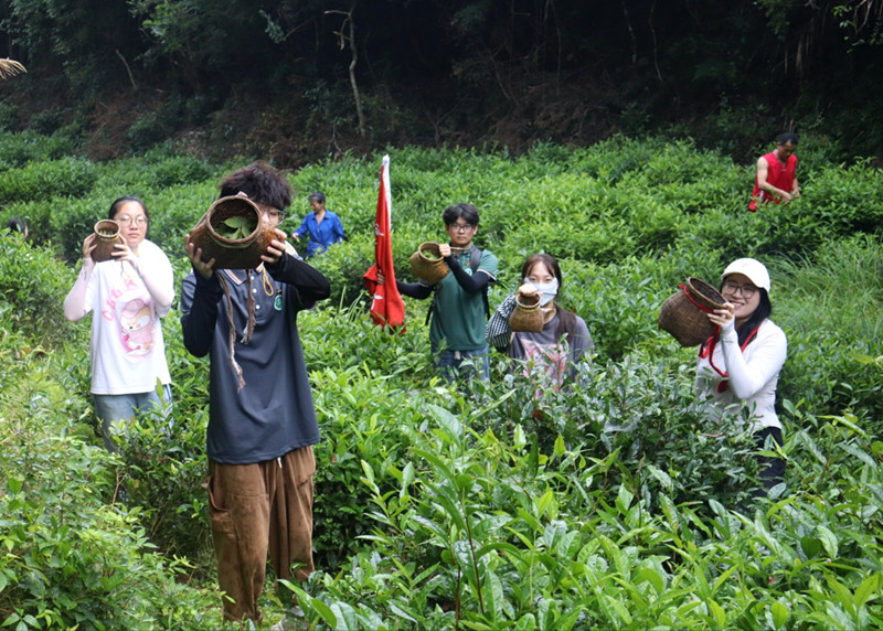 皖祁門：暑期實(shí)踐別樣體驗(yàn)