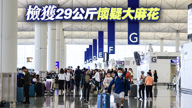 警方機(jī)場拘捕23歲男子 檢值580萬元大麻花