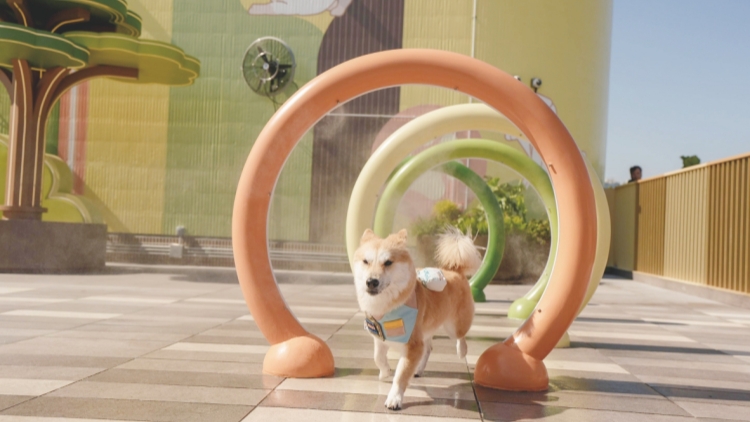 西沙GO PARK推《GO FUN夏水禮！》