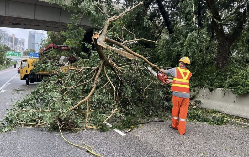 韋帕襲港｜葉劉淑儀：政府各部門不辭勞苦為民開(kāi)路 值得一讚