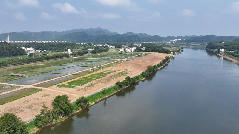 讓「荒灘」變「花?！?皖屯溪屯光巧繪「綠富同興」新圖景