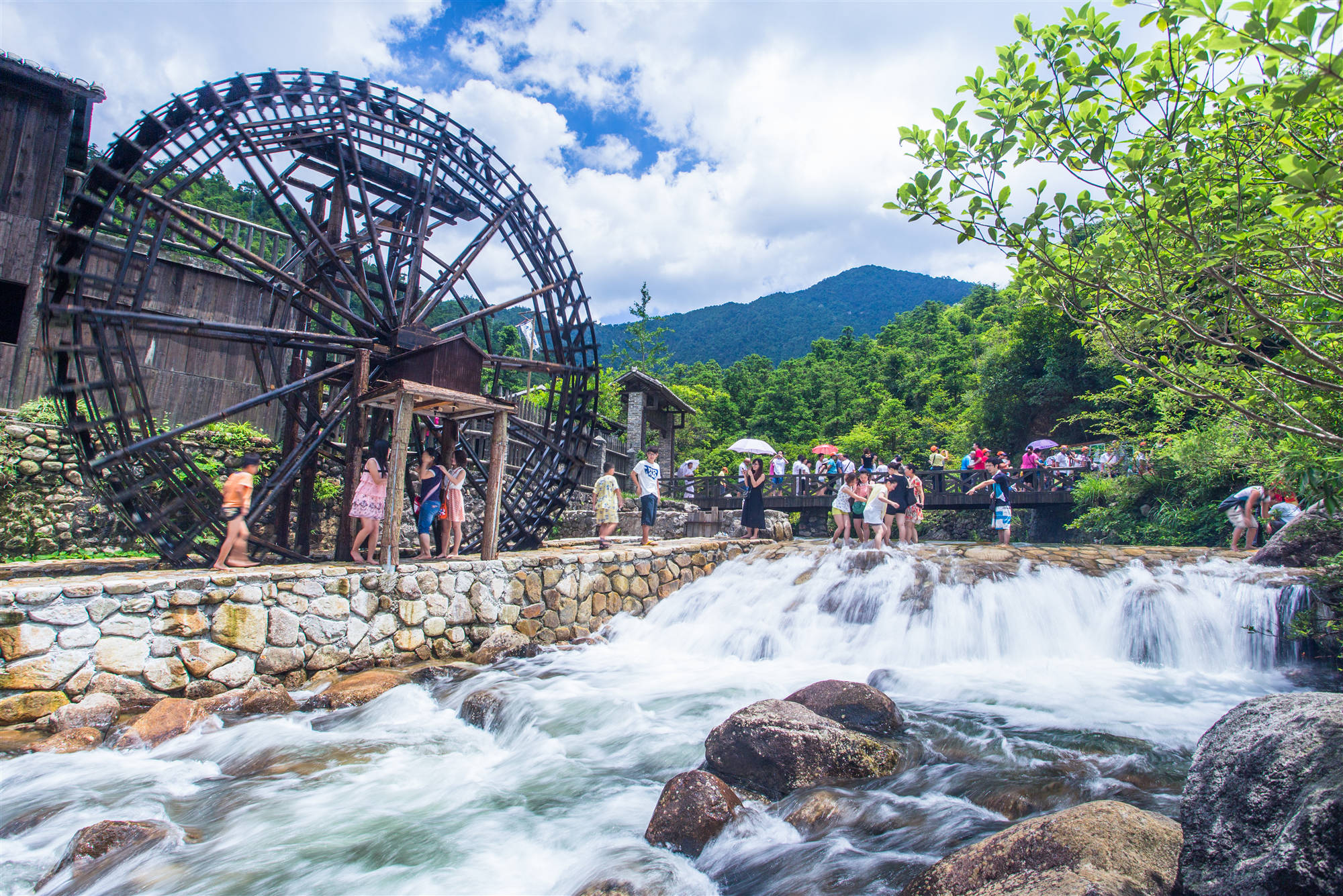 森林覆蓋率達(dá)99%  桂賀州姑婆山度假區(qū)引港客「大口吸氧」