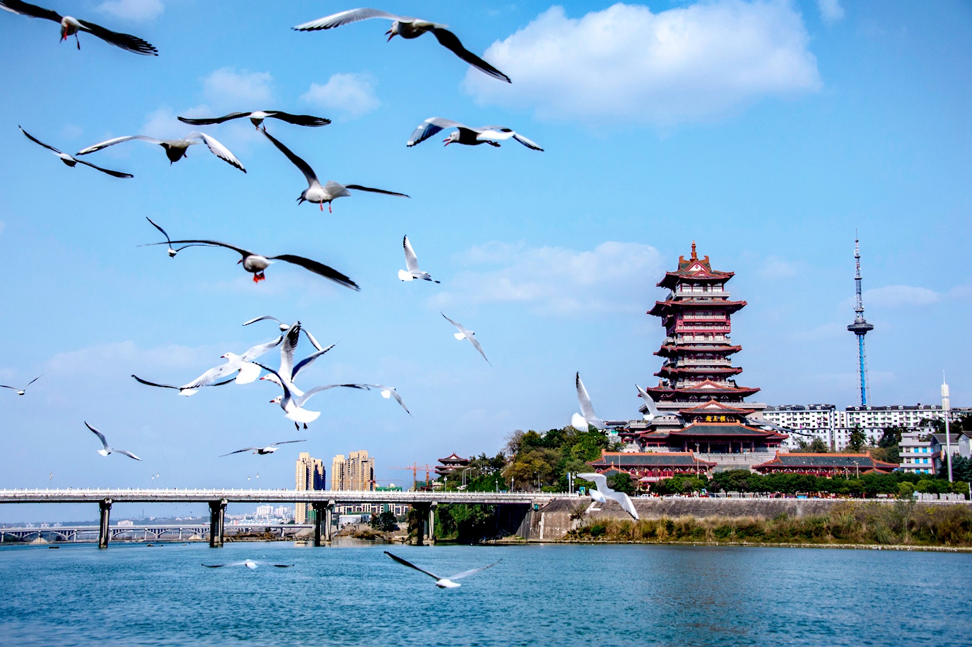 四川綿陽遊仙：以作風(fēng)建設(shè)「組合拳」激發(fā)乾事創(chuàng)業(yè)「全動力」