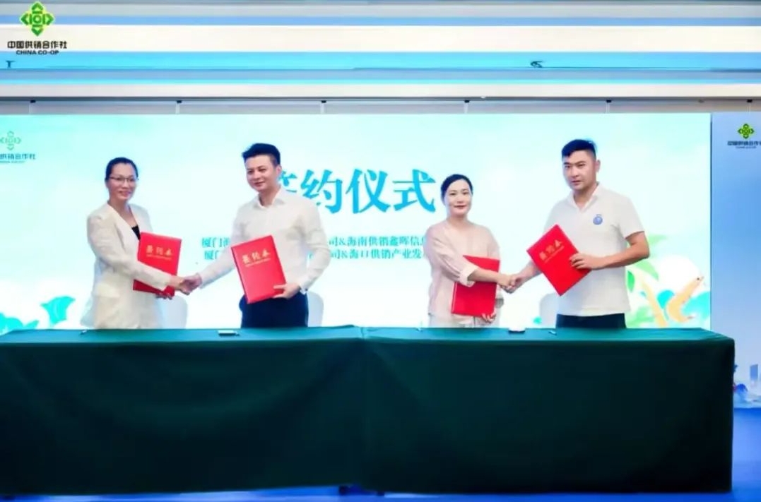 ?？诃偵叫↓埼r「大塘俠」火出圈