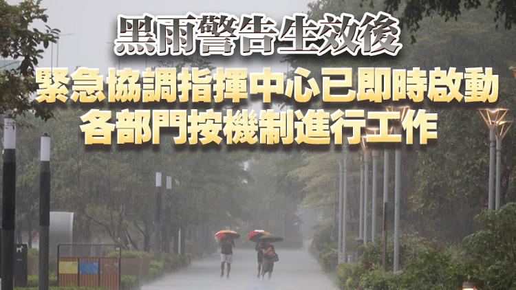 陳國基：當局應(yīng)對極端天氣的機制行之有效