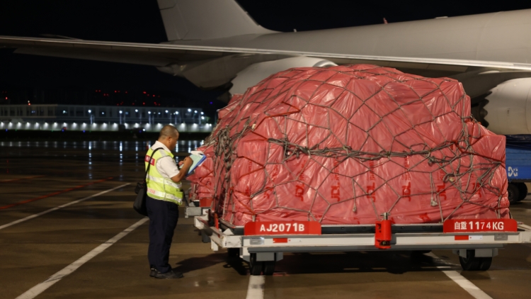 超2.5萬(wàn)噸 深圳機(jī)場(chǎng)旺季荔枝運(yùn)輸量創(chuàng)歷史新高