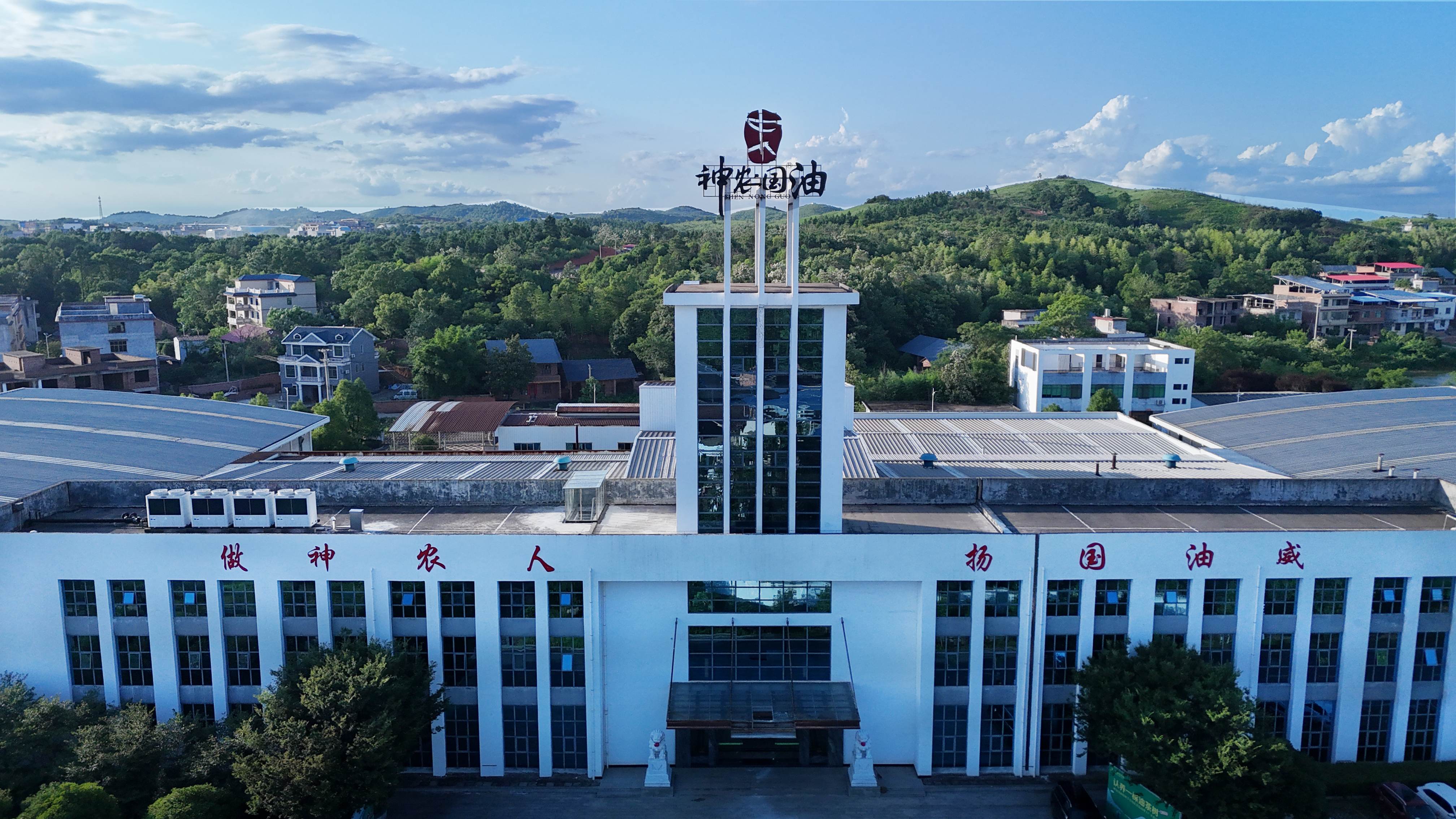 耒陽(yáng)「綠色魔法秀」：油茶開啟生態(tài)富民「狂飆」路