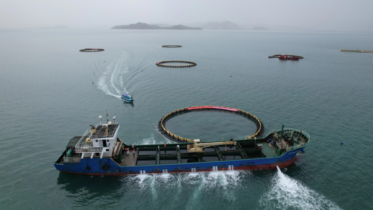 10月1日起施行！汕尾「藍色糧倉」由它守護