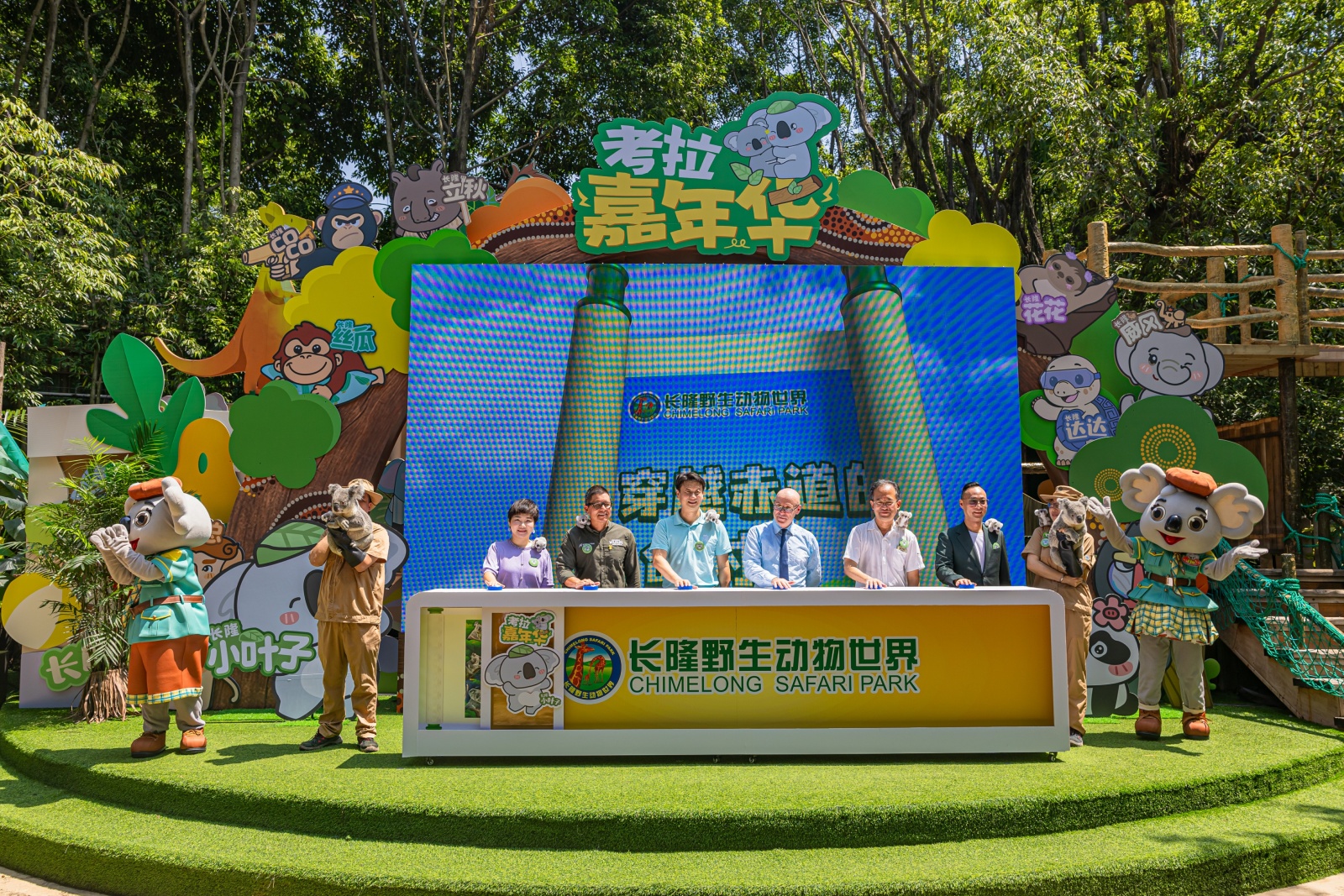 八代同堂  長(zhǎng)隆考拉20年的中國(guó)家園故事