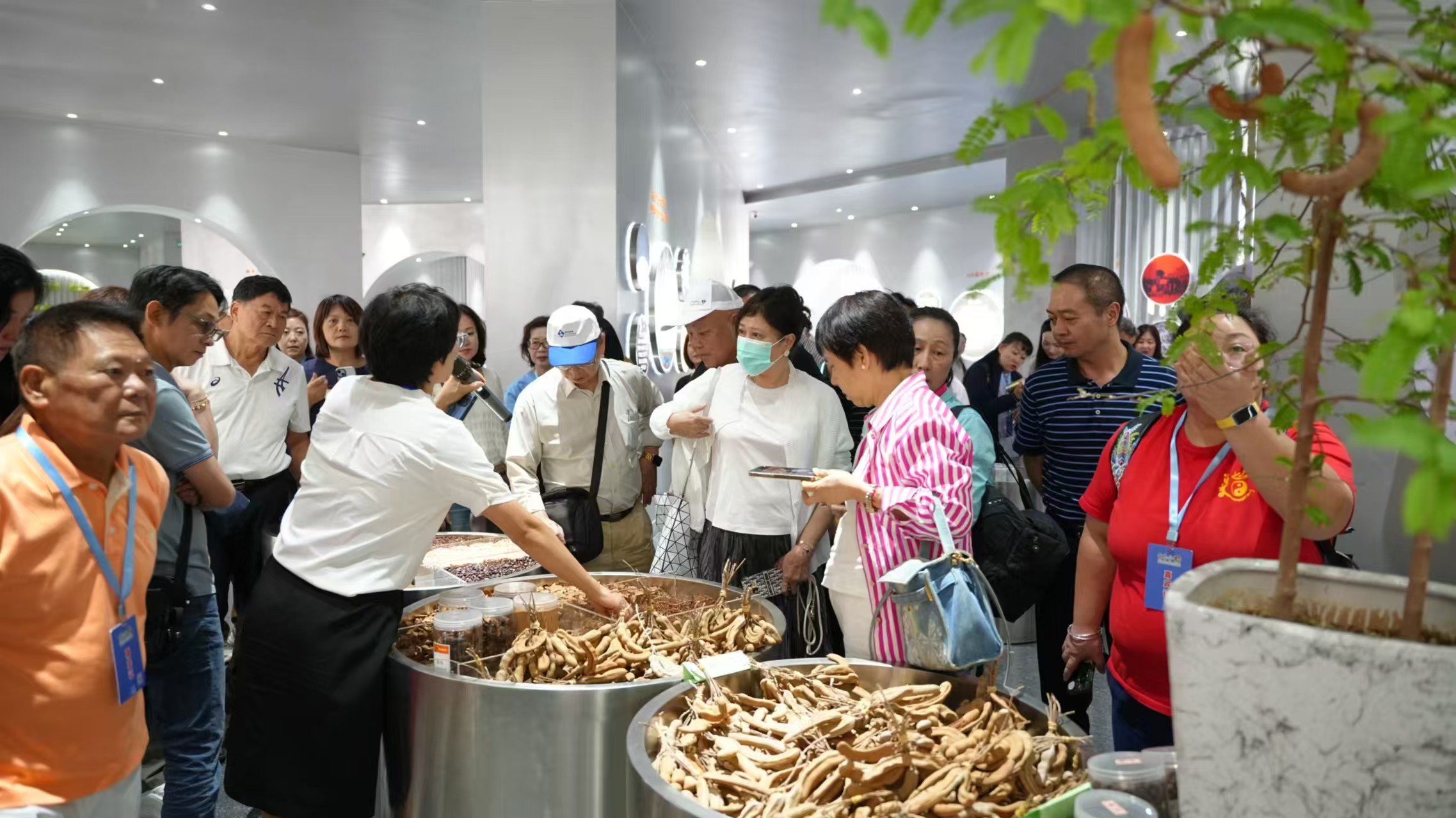 心手相連臺商組團走進玉溪  以經(jīng)貿(mào)合作促兩岸交流