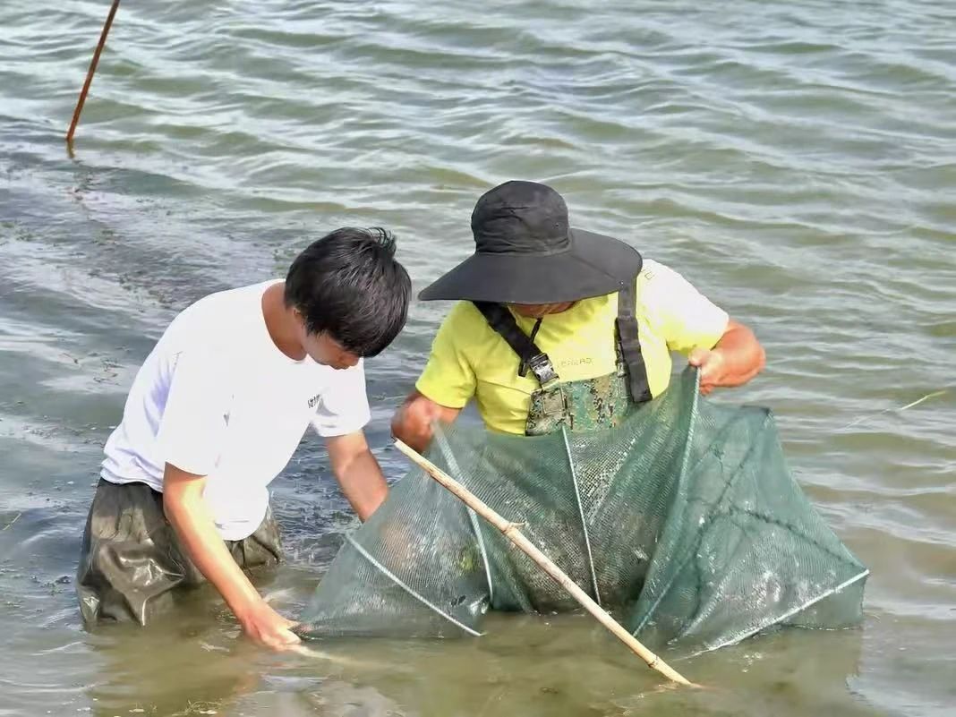 探索「海鮮陸?zhàn)B」新模式  南美白對蝦在黑龍江寶清「安家」