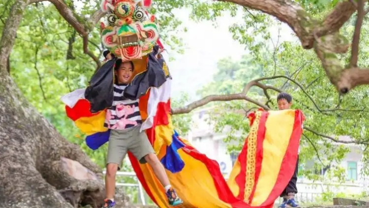 深圳南澳「西貢舞麒麟」 躍升區(qū)級非遺