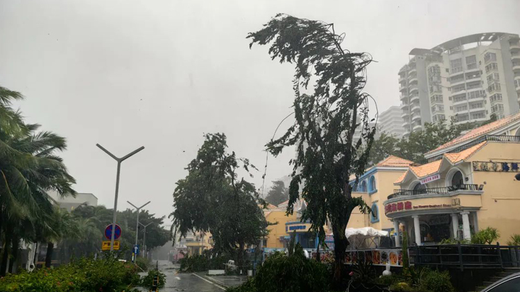 海南多地被「吹停」！颱風(fēng)「劍魚」有多兇悍？