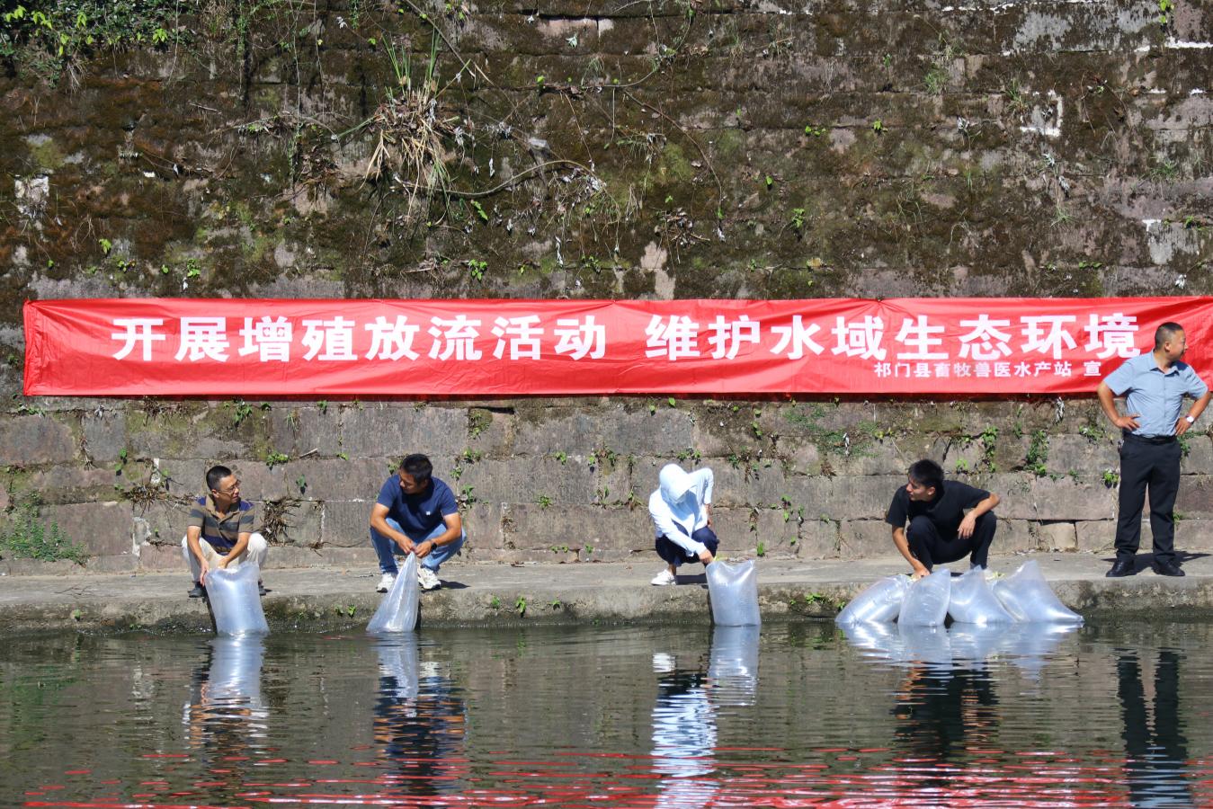 30萬(wàn)尾魚(yú)苗「遊」進(jìn)閶江河！皖祁門縣增殖放流持續(xù)為生態(tài)賦能