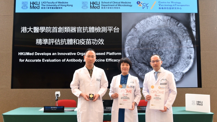 港大醫(yī)學(xué)院首創(chuàng)類器官抗體檢測(cè)平臺(tái) 精準(zhǔn)評(píng)估抗體和疫苗功效 助FDA加快類器官技術(shù)應(yīng)用