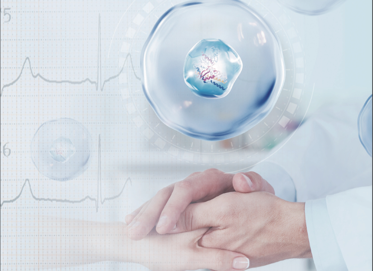 華領(lǐng)醫(yī)藥股價大漲48%引投資者青睞