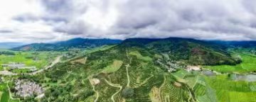 盈江：一顆澳洲堅(jiān)果的「黃金蛻變」 小果子撬動(dòng)十億元大產(chǎn)業(yè)