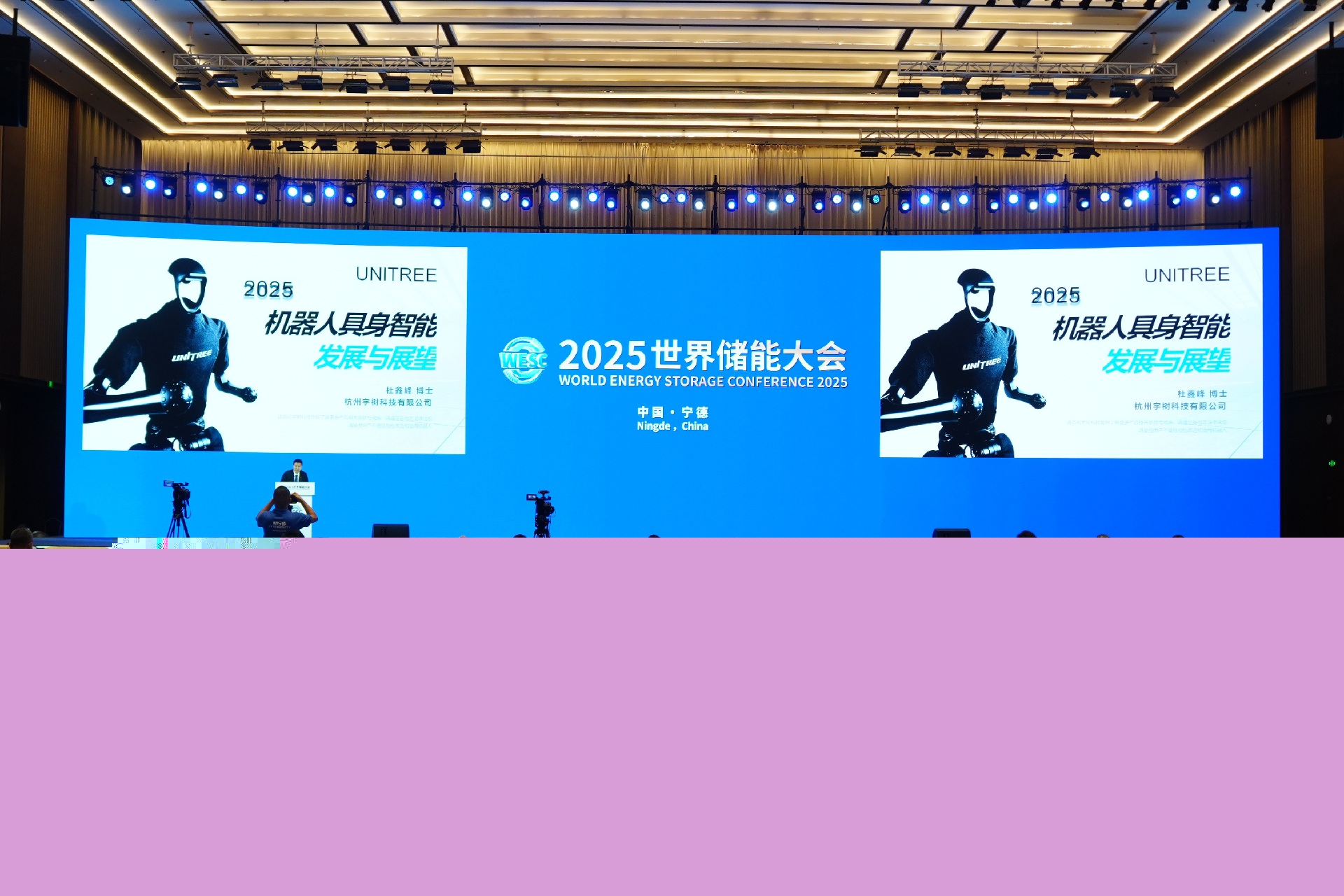 儲(chǔ)能市場與應(yīng)用論壇暨前沿技術(shù)與安全論壇盛大召開，共繪儲(chǔ)能新藍(lán)圖