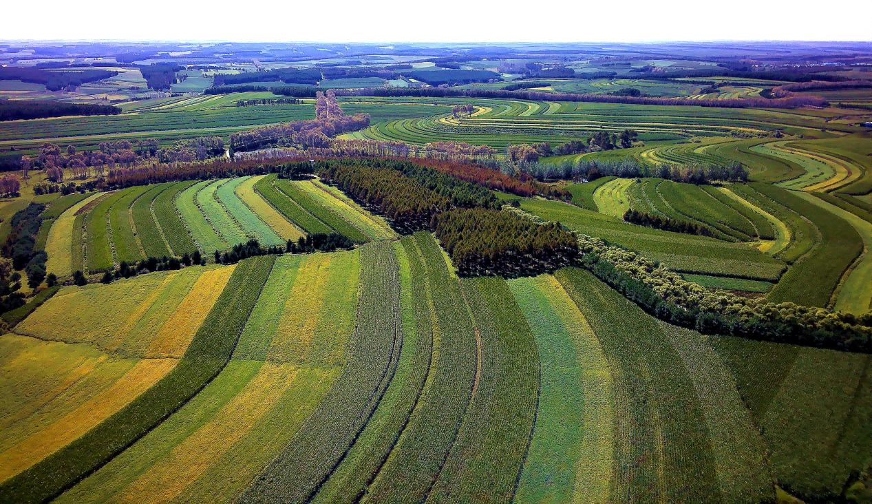 黑龍江·拜泉產(chǎn)業(yè)招商推介會(huì)（成都）將於9月20日召開(kāi)