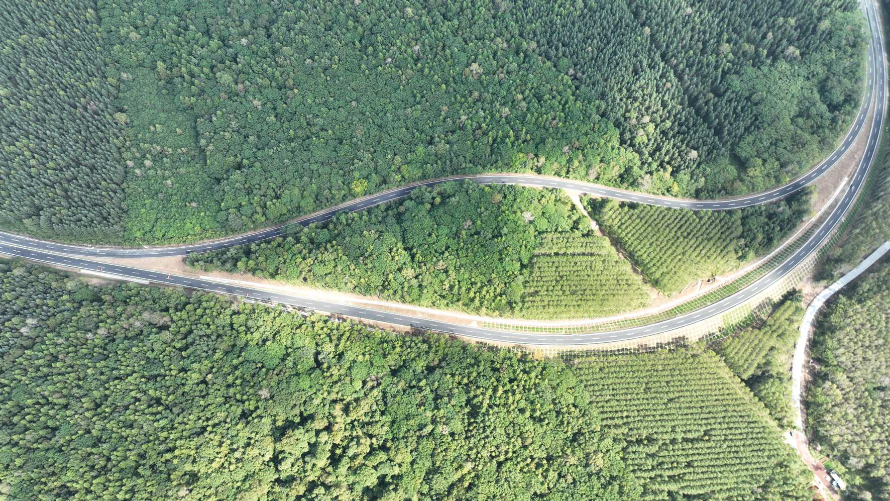 G331吉林段、沈白高鐵9月底即將開通  雙交通動(dòng)脈激活東北沿邊經(jīng)濟(jì)