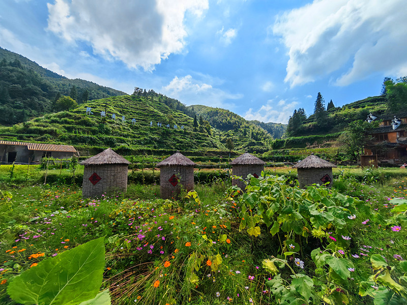 皖休寧溪口鎮(zhèn)：科技賦能 「夢(mèng)裡祖源」神采飛揚(yáng)