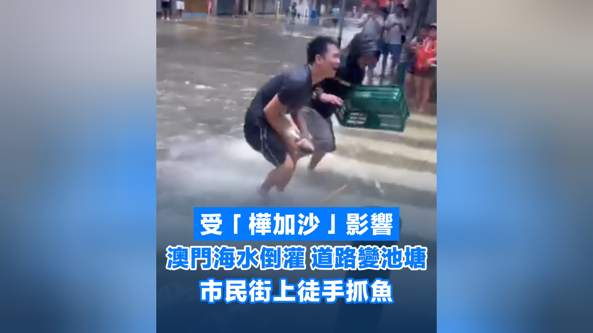 有片丨「樺加沙」襲澳 海水倒灌道路變池塘 市民街上徒手抓魚(yú)