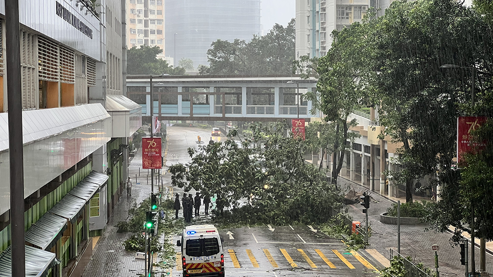 直播｜直擊「樺加沙」動(dòng)向