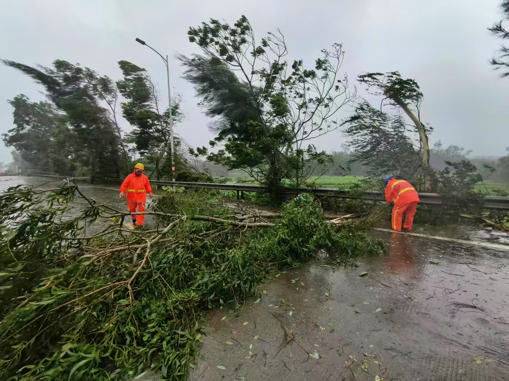颶風(fēng)中的「逆行者」！陽西交通晝夜清障600處 打通生命通道