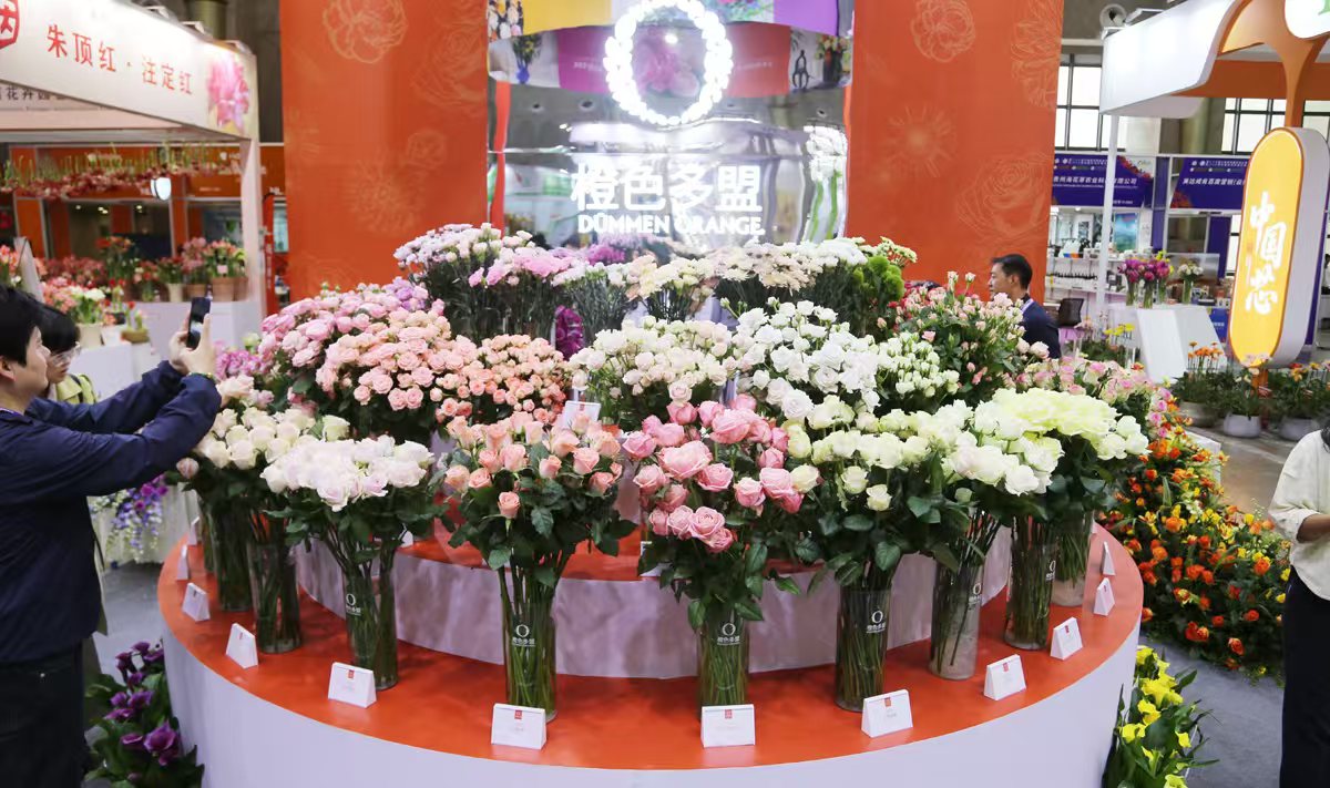 昆明國際花卉展聯(lián)展熱銷  匯聚86個(gè)國家的3.5萬名專業(yè)採購商採購