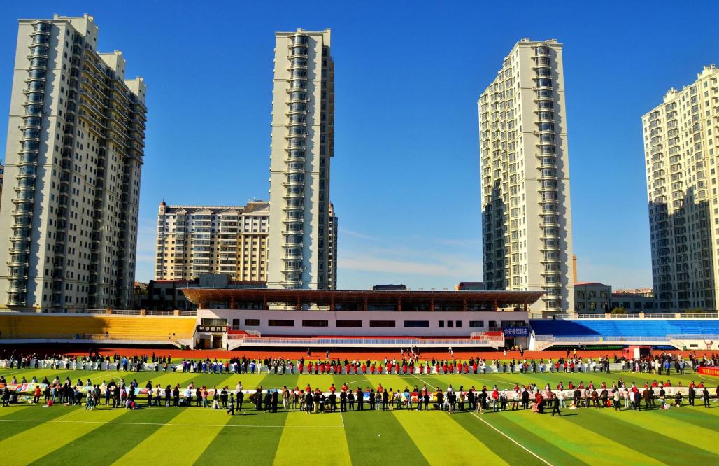 哈市雙城區(qū)舉辦「百人百米」書畫長卷現(xiàn)場書畫活動 翰墨丹青慶華誕