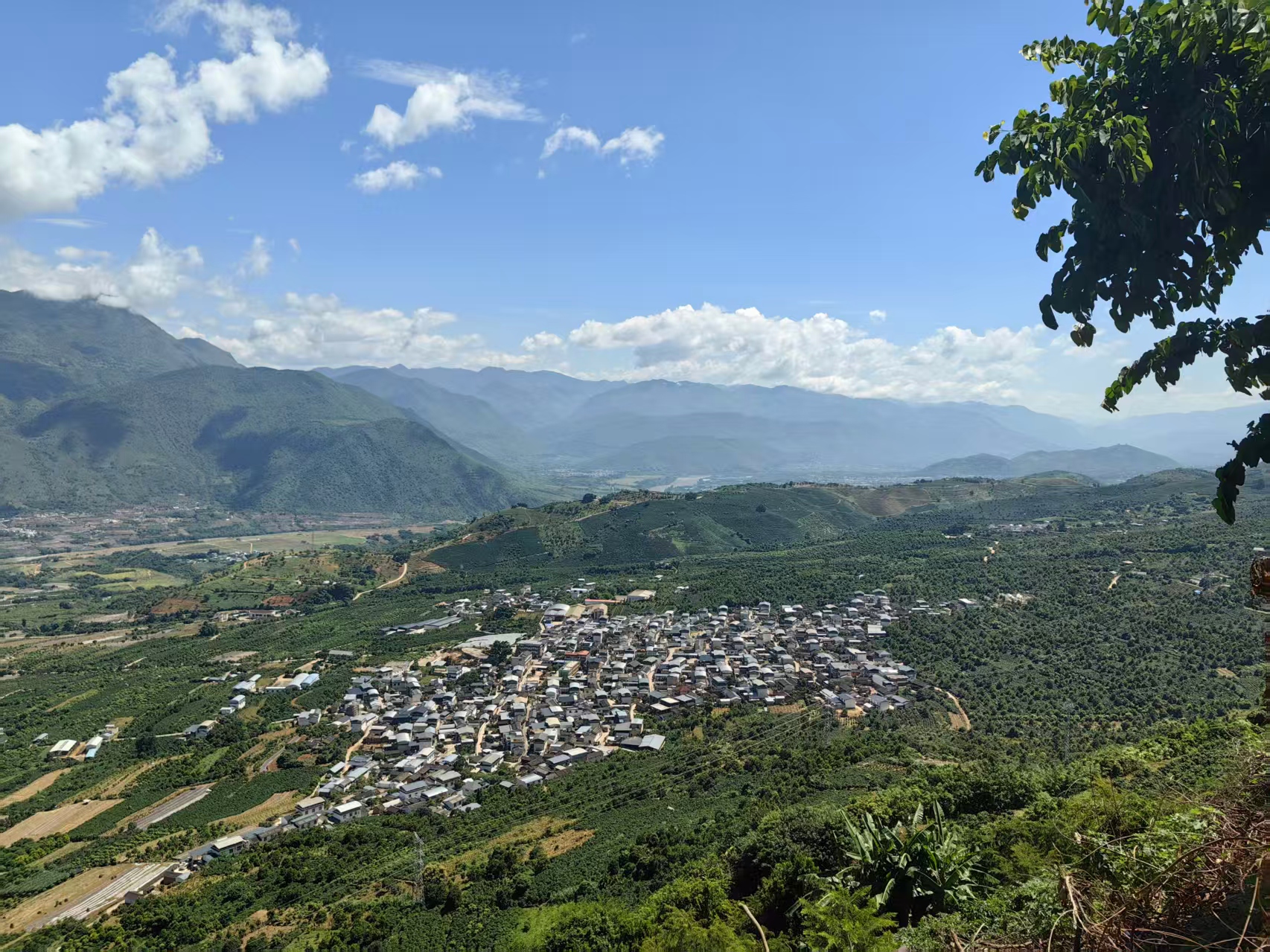 霞客行之江山多嬌，有一種叫雲(yún)南的生活走進(jìn)「中國咖啡第一村」
