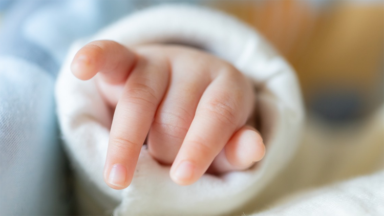 國(guó)家衛(wèi)健委：全國(guó)累計(jì)提交2881.4萬條育兒補(bǔ)貼申報(bào)信息