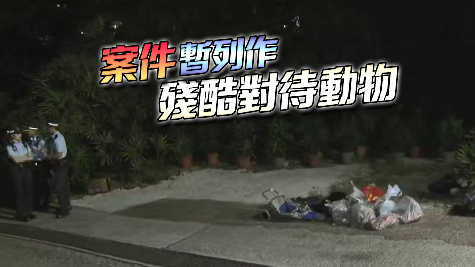 西貢現(xiàn)多袋懷疑野豬屍塊 警正追緝疑犯下落