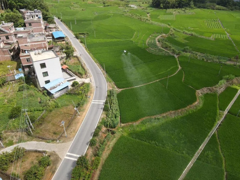 桂梧州長洲區(qū)：產(chǎn)業(yè)鏈重塑結(jié)出「致富果」