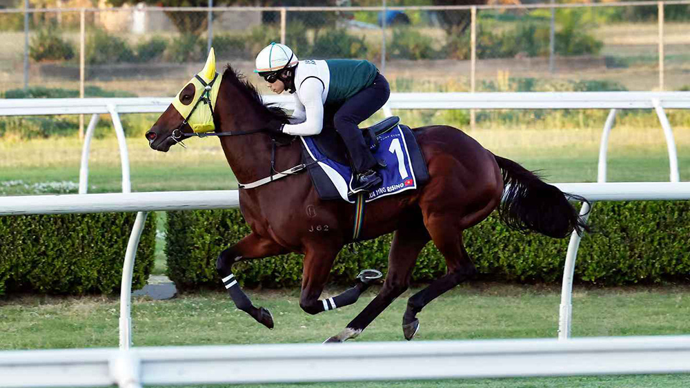 駁斥退出珠穆朗瑪峰錦標(biāo)假消息 希斯：「嘉應(yīng)高昇」準(zhǔn)備就緒