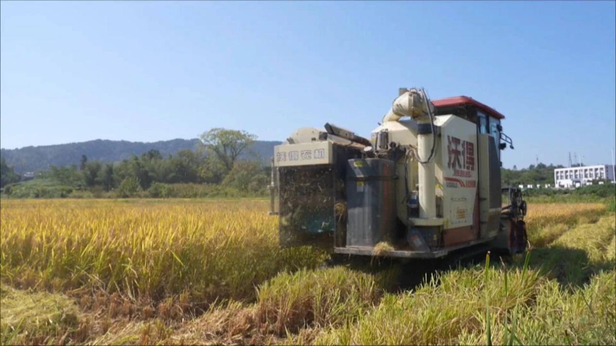 皖黟縣漁亭鎮(zhèn)：機(jī)械轟鳴慶豐收