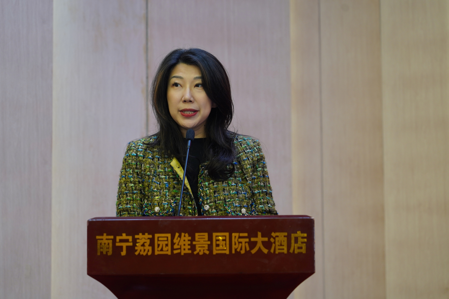 港澳委員傳聲筒｜王樂茵：以文化為橋促桂港融合 讓香港青年愛上廣西非遺