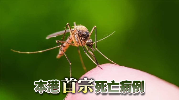 77歲長期病患男子確診基孔肯雅熱後 併發(fā)多個器官衰竭死亡