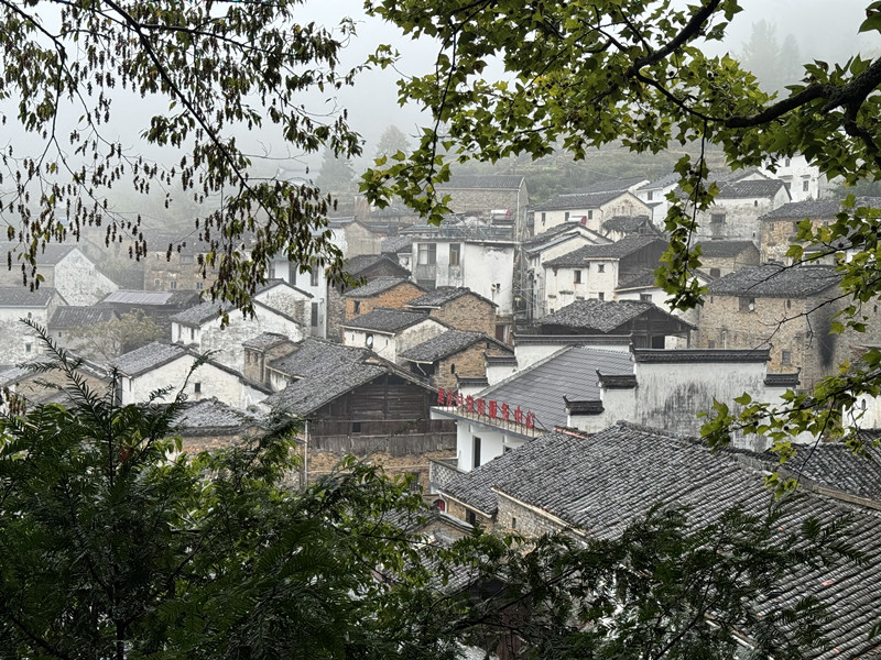 皖休寧里莊：傳統(tǒng)村落「活起來」 鄉(xiāng)村振興「旺起來」